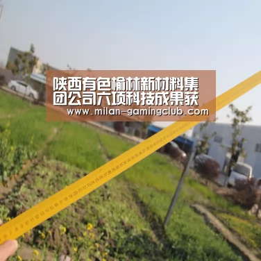 陕西有色榆林新材料集团公司六项科技成果获奖_米兰推荐(图4) 米兰体验