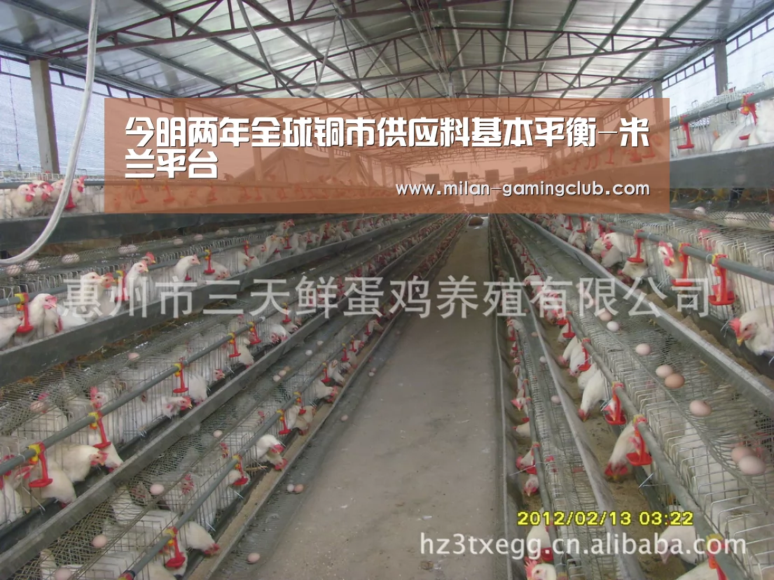 今明两年全球铜市供应料基本平衡-米兰平台(图1) 米兰游戏
