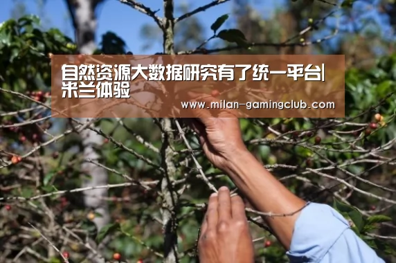 米兰游戏