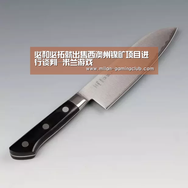 必和必拓就出售西澳州镍矿项目进行谈判-米兰游戏(图1) 米兰游戏