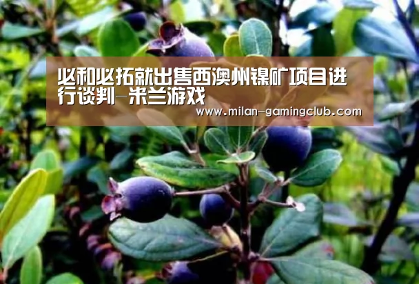 必和必拓就出售西澳州镍矿项目进行谈判-米兰游戏(图2) 米兰游戏