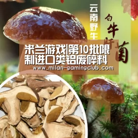米兰游戏|第10批限制进口类铝废碎料申请名单公示申请公示量306,930吨_政策法规_新闻_矿道网(图1) 米兰体验