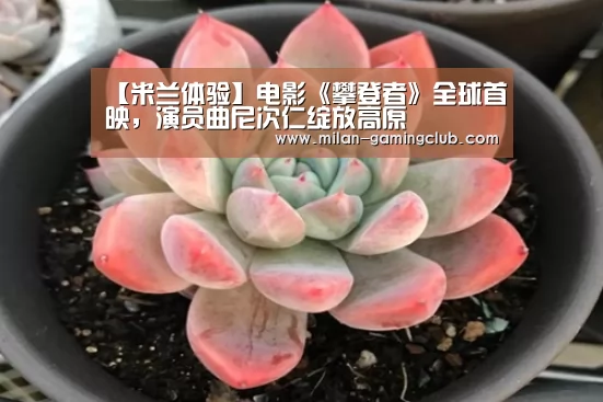 【米兰体验】电影《攀登者》全球首映,演员曲尼次仁绽放高原(图2) 米兰游戏