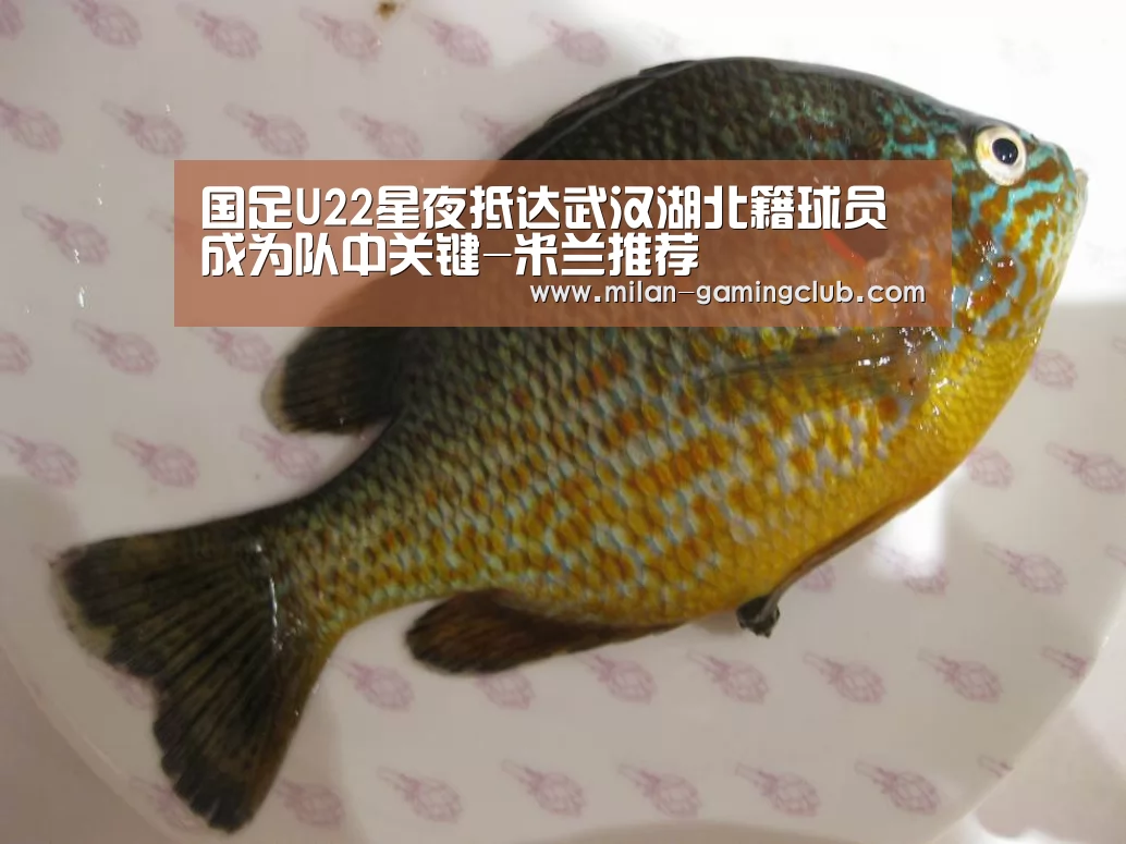 米兰体验