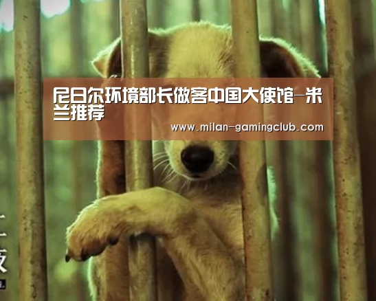 米兰体验