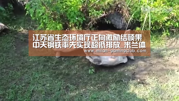 江苏省生态环境厅正向激励结硕果中天钢铁率先实现超低排放_米兰体验(图3) 米兰游戏