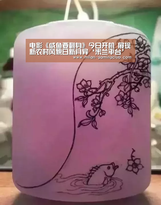 电影《咸鱼要翻身》今日开机 展现新农村风貌日新月异‘米兰平台’(图2) 米兰体验
