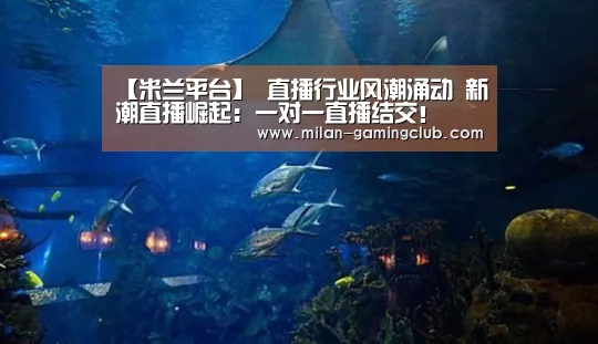 【米兰平台】
直播行业风潮涌动 新潮直播崛起:一对一直播结交!(图1) 米兰推荐