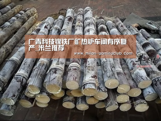 广青科技镍铁厂矿热炉车间有序复产_米兰推荐(图3) 米兰推荐